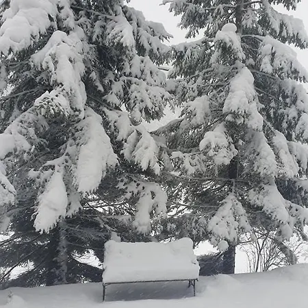 Kuca Za Odmor Platak Chalet Soboli