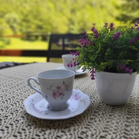 Kuca Za Odmor Platak 샬레