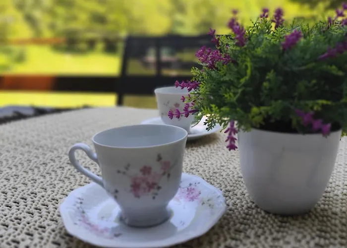 Kuca Za Odmor Platak Chalet